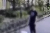 喪心病狂！陸男在幼兒園旁虐殺四貓　僅受思想教育惹公憤