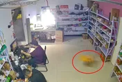 影/七月半還沒到！陸快遞站包裹離奇炸飛　竟是「水果」搞鬼