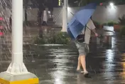 影/颱風搖滾區！台南樹倒壓燈、電線走火　牆倒砸門擋出口