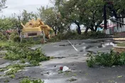 丹娜絲超狂！新營太子爺都擋不住　巨大雕像遭硬生吹斷