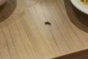 巨城三合院用餐到一半！天降老鼠屎　業者致歉了