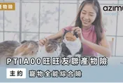 毛孩專屬保障上線　醫療走失喪葬全包