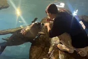 海生館仙氣飼育員爆紅！　5萬網友暴動：想當海豹