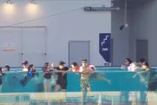 看球會被淋濕！韓華鷹新主場「無邊際泳池」爆漏水