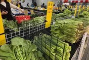 菜價被罵「亂漲」？菜販揭心酸：我一天賺不到工讀時薪