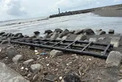 台灣海岸成光電墳場！館長掀貓膩喊「報應」