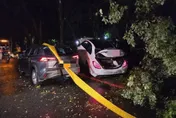 影/悚！運將站路邊抽菸被高速撞死　肇事者棄車逃逸