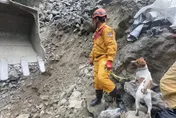 0403地震救援功臣！　「特搜小鋼砲」Wilson意外墜樓身亡