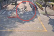 影/法院門口偷Ubike騎免錢　竊嫌刺青露餡隔天遭活逮