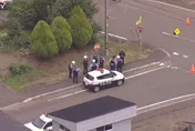 日北海道驚傳野熊襲人事件　派報員慘遭攻擊身亡