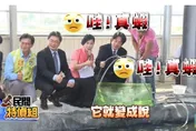 民間特偵組/賴神加持的光電養蝦　今只剩…發電！