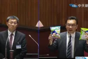 大法官被提名人陳慈陽：妻任民進黨仲裁委員屬個人選擇