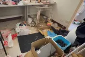 惡房客報復退租！毀壞水龍頭放水淹屋　兔子餓死屋內