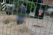 影/南韓暴雨老人困大水中險滅頂　驚險救援片曝光