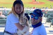 美知名治療兔驚傳離世！生前活躍球場　巨人隊CEO表哀悼