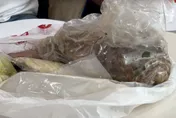 豐原知名烤鴨店再爆食安危機！14人送醫已遭勒令停業