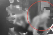 11年前夜店殺警案幫兇！　「小刀刺死姊夫」遭聲押禁見