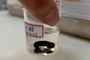 南投男子以為喉嚨有痰　檢查驚見藏4公分水蛭