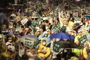 狠打臉青鳥！台大教授揭「大罷免3大謬誤」轟：就是濫罷