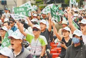 青鳥崩潰了！大罷免慘敗嗆藍支持者　徐巧芯幕僚4點解析嘆：輸不起