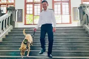 市犬變浪犬！　新竹市府犬「棕棕」遭遺棄重回收容所