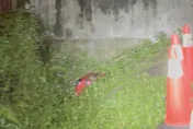 新莊箱屍案50歲男冤死長蛆！相驗結果顯示死亡超一星期