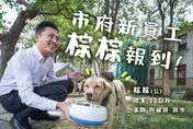 認了棄養毛小孩！　林智堅道歉：盡快替棕棕找到適合的家