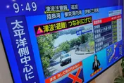 影/俄8.8強震土石崩落　數十隻海獅受驚嚇跳入海中