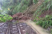 豪雨致災！阿里山林鐵16處樹倒、土石崩　本線7/31停駛