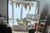地獄房客！陸情侶租屋變垃圾堆　陽台掛滿「詭異狗皮」房東崩潰