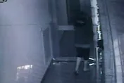 老Z調查線/17歲少年被分手不甘心　57刀屠殺女友奪命