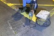 龜殼花、雨傘節出沒！千蛇大軍漫遊台中　民眾家裡也遇到