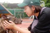 新竹市犬棕棕被送回收容所安置　米可白：別美化行為，棄養就是棄養