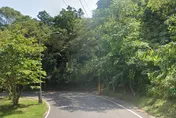 新北汐碇路樹上驚見浮腫男屍　身分為南港失蹤人口