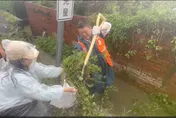 綠側翼護航何博文挖水溝翻車！林佳新「1張圖」狠打臉