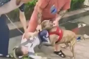 影/陸6歲童社區玩耍…遭比特犬「死咬下體」驚悚畫面曝光