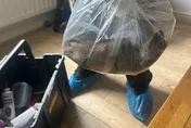 英格蘭現驚人巨鼠！體長56公分堪比貓咪　震驚當地社區