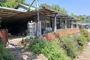 1坪15萬！大安區透天厝可養雞種菜　專家：貸款恐受限