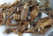 魚刺、骨頭不算廚餘！新北環保局解答：應丟一般垃圾