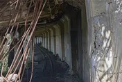 眠月線2號隧道大片坍方阻路　廢止一葉蘭保留區進入申請