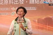 蔡炫/林岱樺堅持參選到底　是不是觸犯了「德意志」？