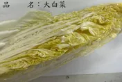 越南進口大白菜驗出農藥超標　食藥署攔截逾3.8萬公斤
