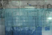 氣候暖化大量水母入侵！法核電廠過濾設備遭堵塞　4反應爐全關