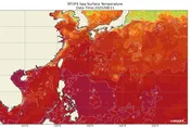 聰明楊柳閃過惡劣環境...維持巔峰　粉專：走了可活下去的路