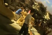 上海自然博物館變「兒童遊樂場」！熊家長抱娃闖禁區騎動物標本