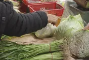 菜價飆漲好苦惱？營養師推「芽苗蔬菜、菇類」美味又省錢