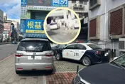 影/新莊分局門口前「被高速衝撞」！行人遭捲入車底