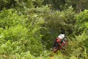 宜蘭台9線自小客車墜落邊坡　63歲女駕駛獲救送醫