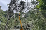 楊柳颱風襲台中和平！電線遭強風吹斷　近4千戶受影響