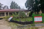 影/福壽山蘋果王樹不敵楊柳強風倒下！新任太子即將接班